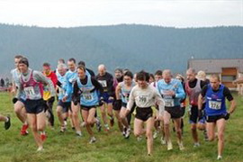 Cross_Taintrux_2010