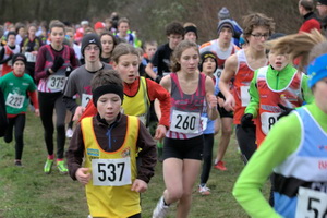 Wp_Lorraine_Cross_2013_Florange