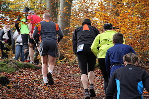 Wp_Trail_Brosses_2012