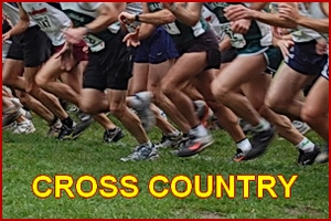 WP_Cross_country_2