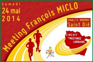 WP_Meeting_Miclo_2014