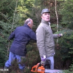 coupe_des_sapins_de_noël_2012_01.jpg