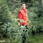 coupe_des_sapins_de_noël_2012_09.jpg