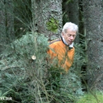 coupe_des_sapins_de_noël_2012_13.jpg