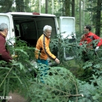 coupe_des_sapins_de_noël_2012_17.jpg