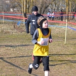 Championnats_de_Lorraine_2011_de_Cross_08.JPG