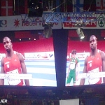 Championnats_Europe_2011_Indoor_07.JPG